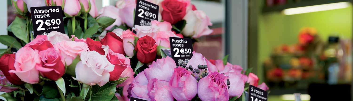 Bandeau-votre-activite-fleuriste-magasins-fleurs-FRE-€-1500x430.jpg