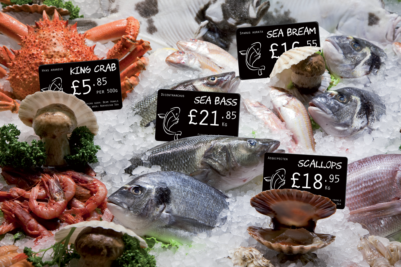 Price tags for fishmongers in situ